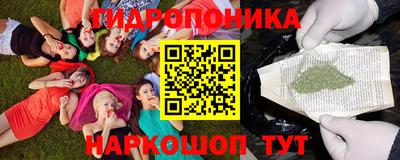 индика Кимры