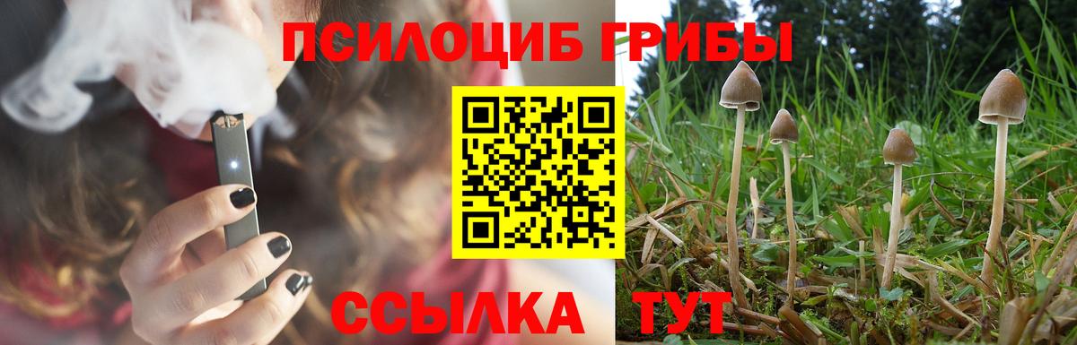 Кулебаки  Псилоцибиновые грибы GOLDEN TEACHER  Галлюциногенные грибы мицелий  Вход с VPN 