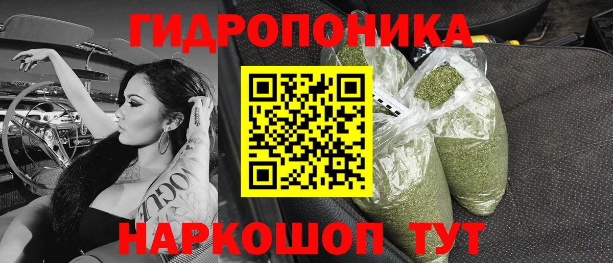 Конопля OG Kush Кулебаки